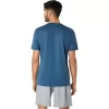 BLOSSOMING FUJI TEE