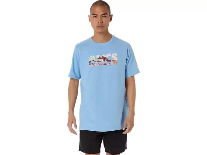 BLOSSOMING FUJI TEE