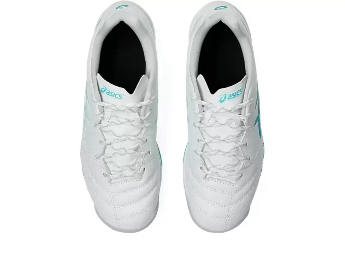 DS LIGHT JR GRADE SCHOOL TF