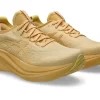GEL-NIMBUS 27 LITE-SHOW GEL-NIMBUS 27 LITE-SHOW