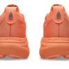 GEL-NIMBUS 27 LITE-SHOW