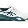 GEL-RESOLUTION X