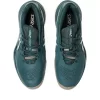 GEL-RESOLUTION X