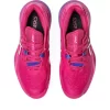 GEL-RESOLUTION X