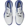 GEL-RESOLUTION X