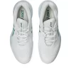 GEL-RESOLUTION X