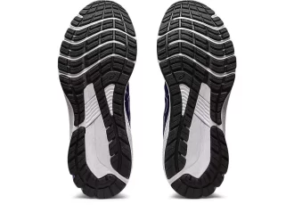 GT-1000 12 WIDE ROAD TESTED