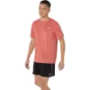 ROAD SHORT SLEEVE TOP